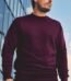 Promodoro_New-Mens-Sweater-8020_model